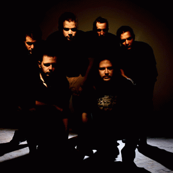 A Losing Season : How to Confuse a cat